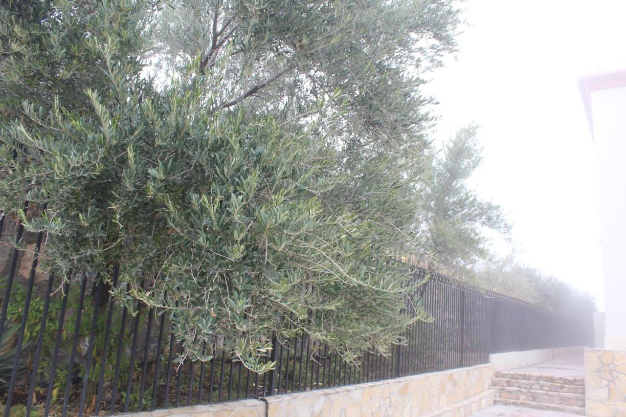 Sayq Asas Al Jabal Al Akhdar Apartments شقق أساس الجبل الأخضر מראה חיצוני תמונה